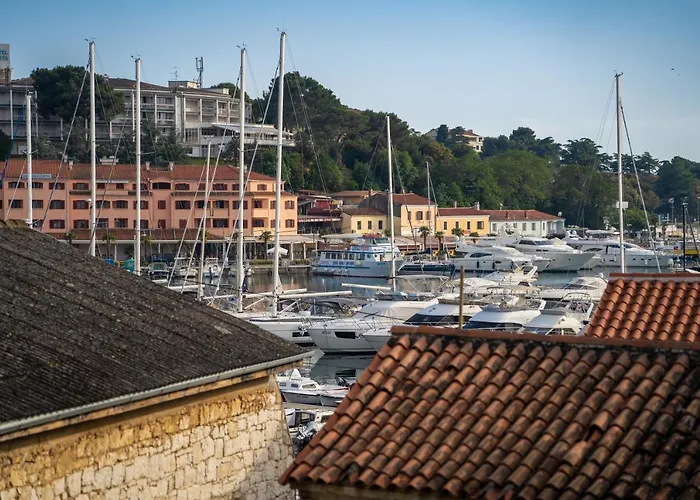 Kata Premium * 브르사르